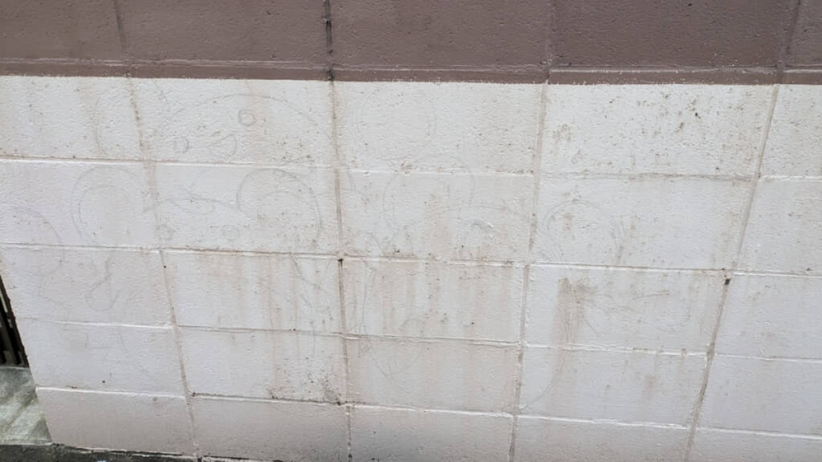 家の壁に“ポケモン”を描きはじめて、半年後……　ついに完成した“愛あふれる作品”に「最高」と反響　1年後、投稿者に話を聞いた（1/3） | ライフスタイル ねとらぼ