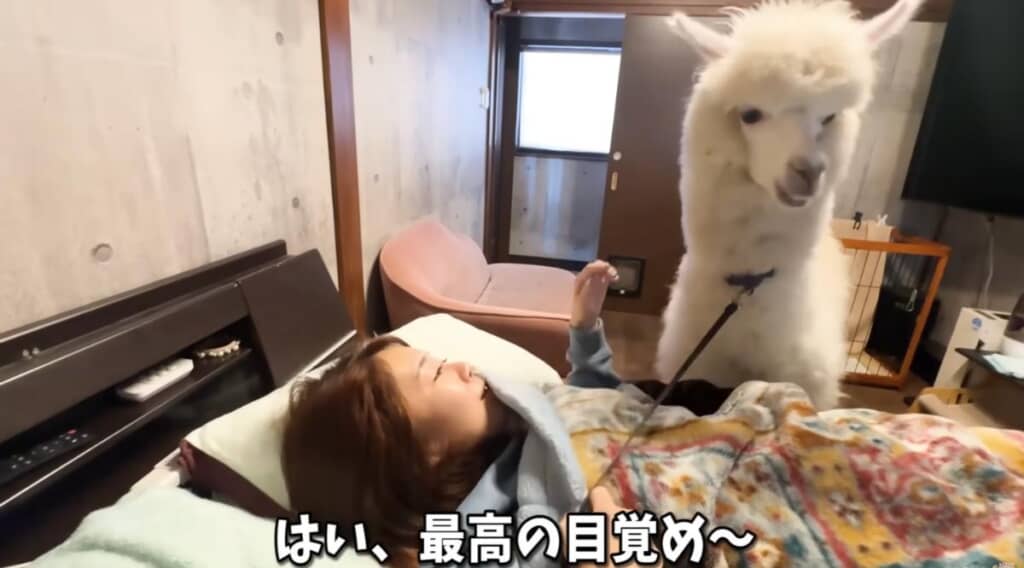 やっとモコちゃんとご対面！