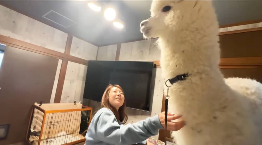 結果、幸せそうなあいるんさんなのでした