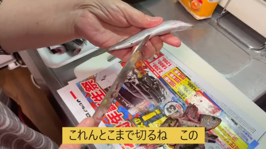 イワシは頭を取ったら腹ビレあたりまで切って内臓を取ります