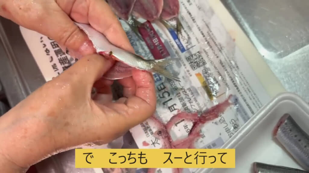 イワシの“手開き”のやり方を伝授