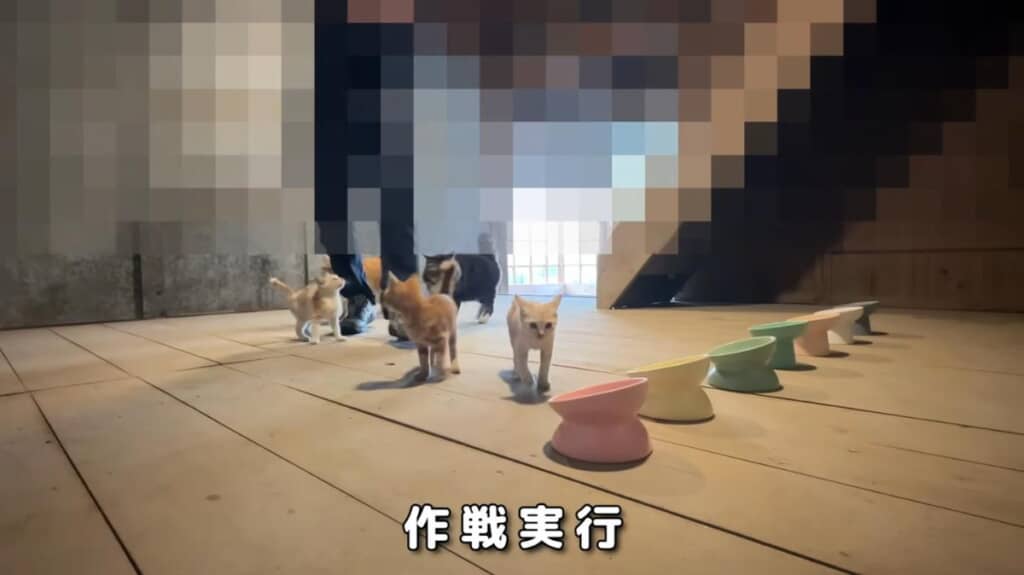 納屋へ誘導成功！