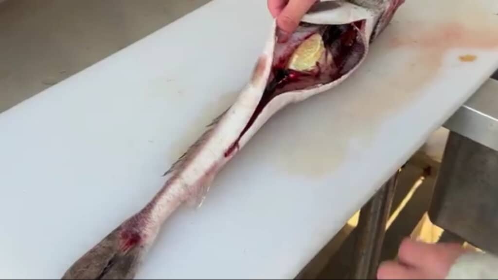 深海魚をさばいている様子