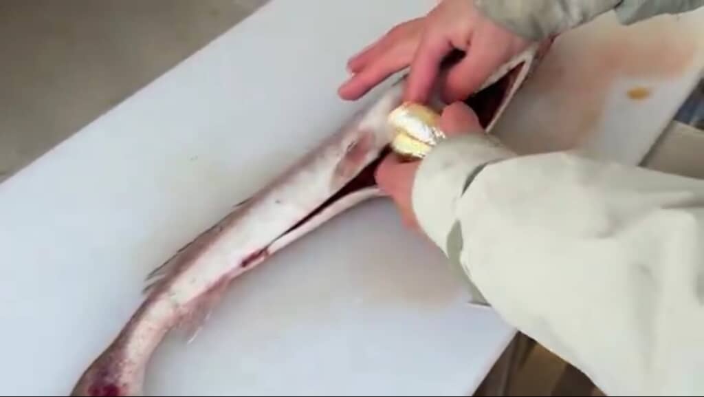 深海魚をさばいている様子