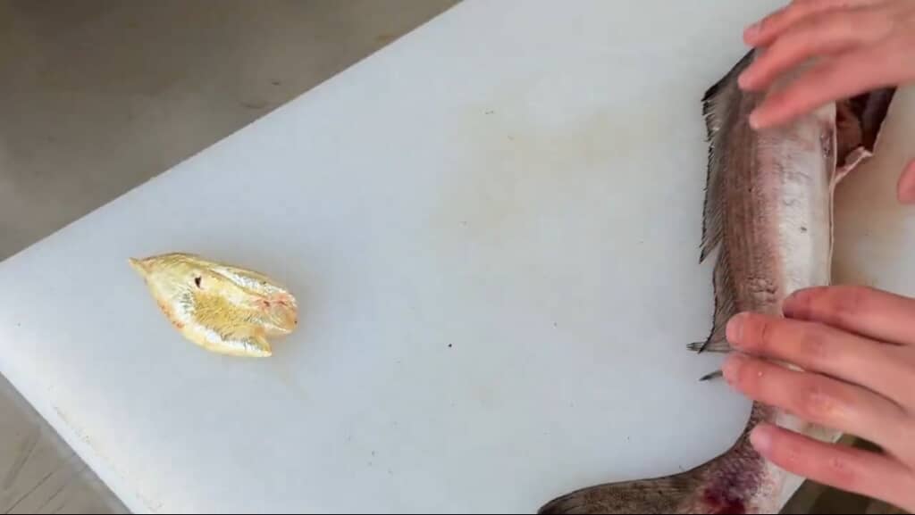 深海魚の中から出てきたもの