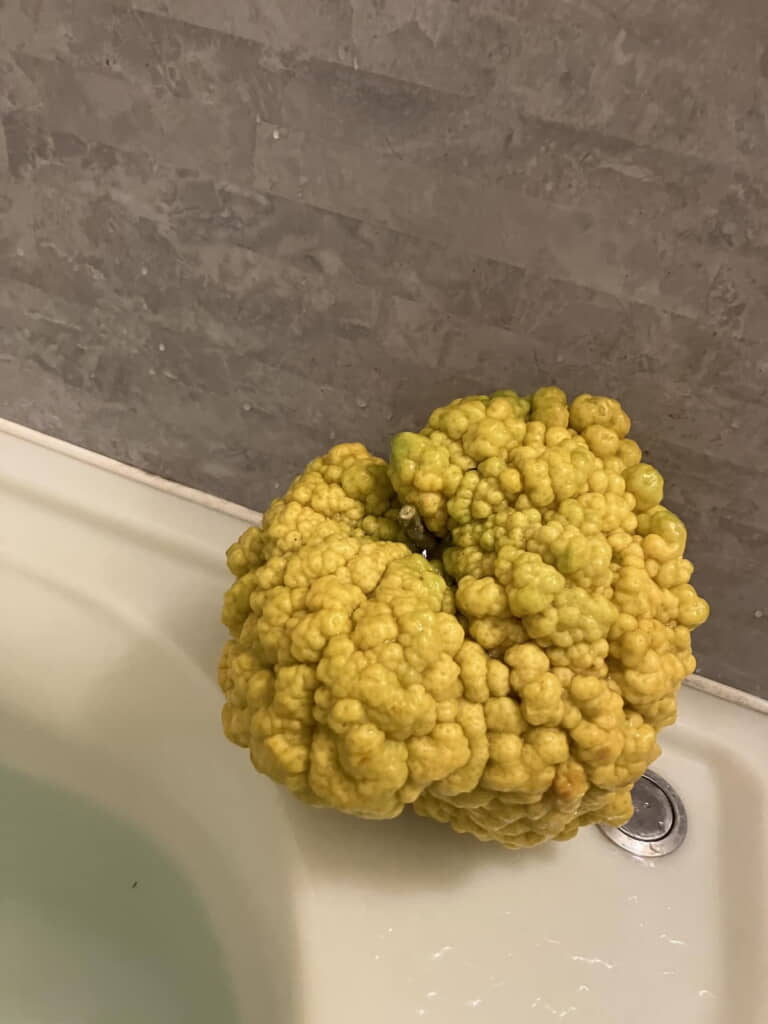 ボコボコだ……！