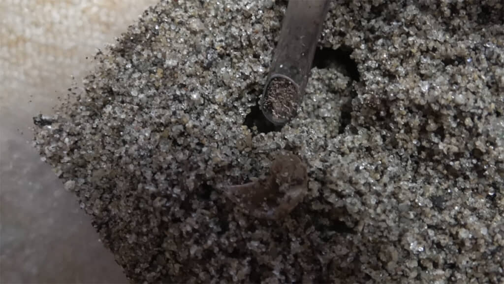 慎重に掘り出してみると……