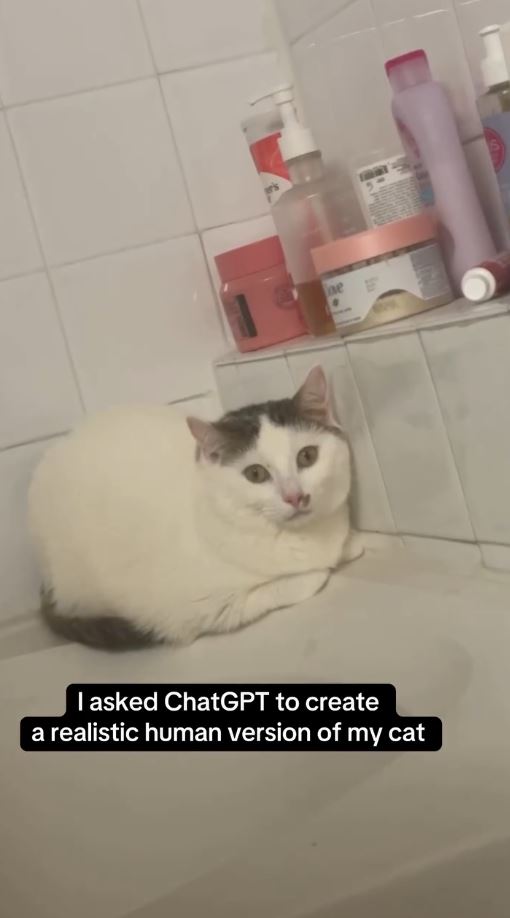 キュートなshaylaちゃんを人間にしてみたら……？