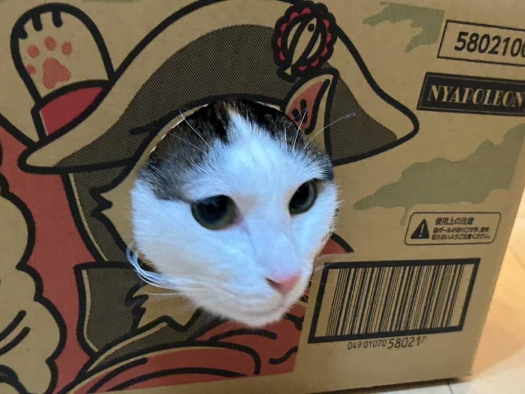 シュールさにクスッと笑える