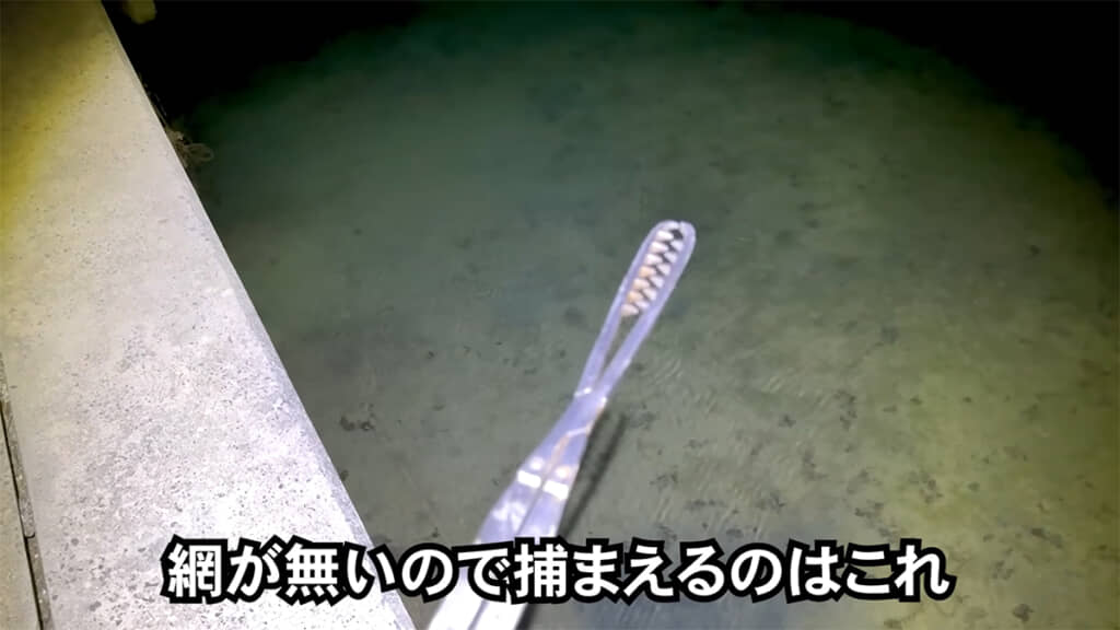 マジックハンドで捕まえることはできるのでしょうか……？