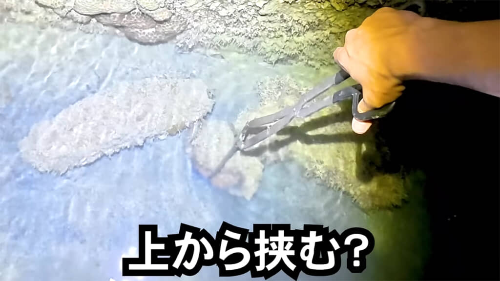 とりあえず上から挟んでみると