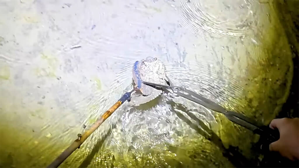 全くの無抵抗でした