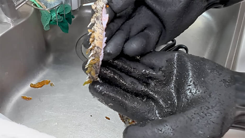 トゲを切り落とします