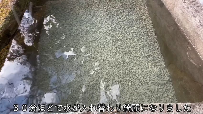 水と一緒に汚れが流れてキレイになった3層目のろ過水槽