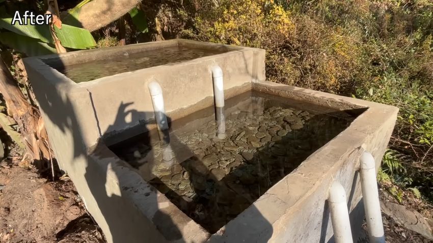 整備されてキレイになったろ過水槽