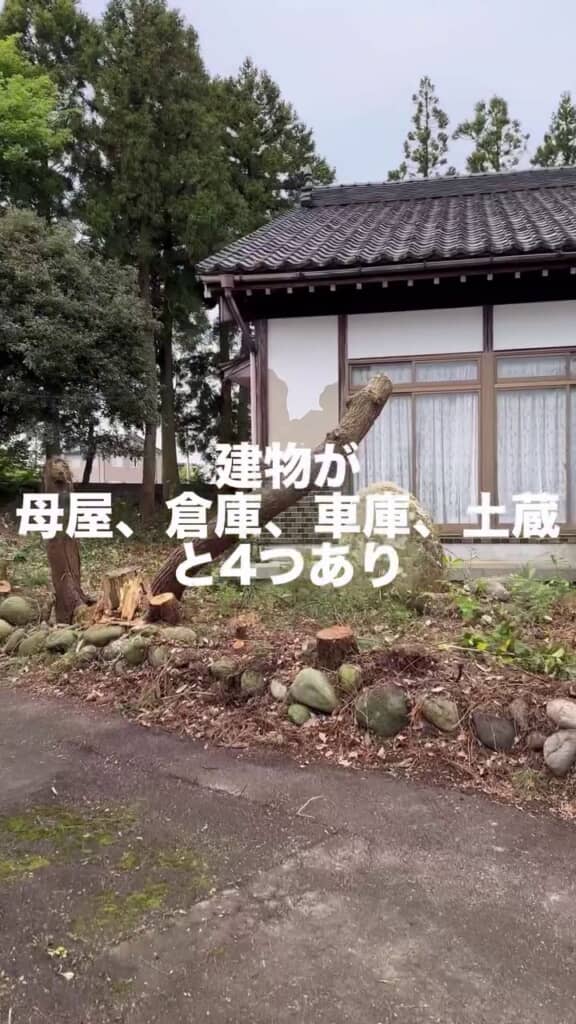 手入れがされておらず荒れている庭