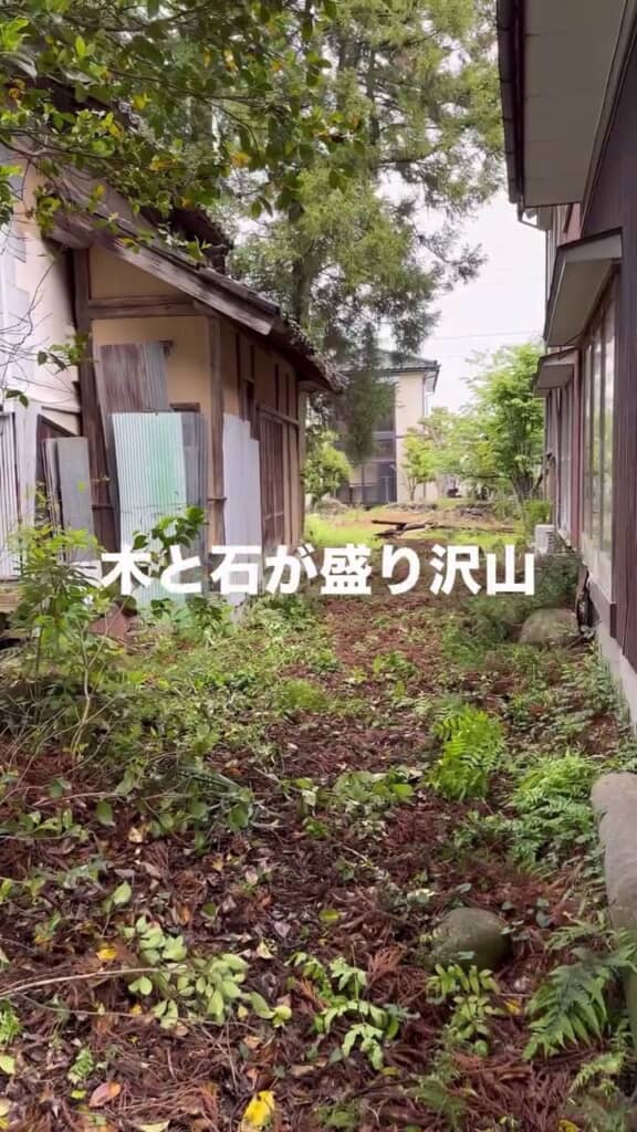 ボロボロの建物と草が生え放題な庭