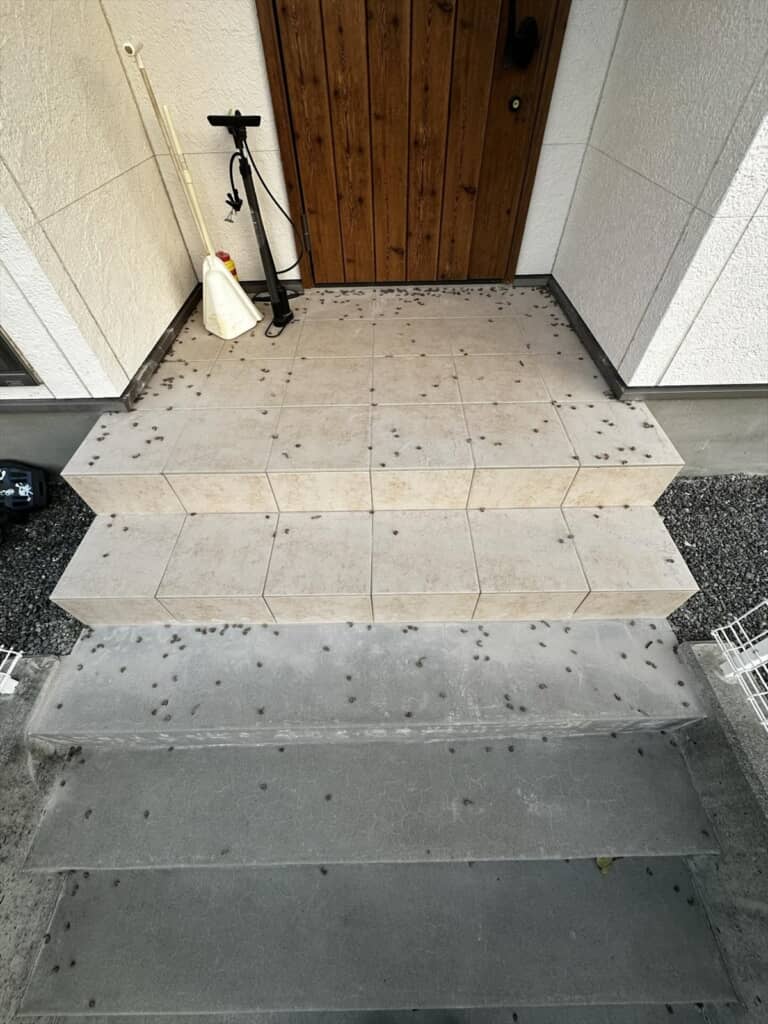 ヤスデが大量発生した玄関