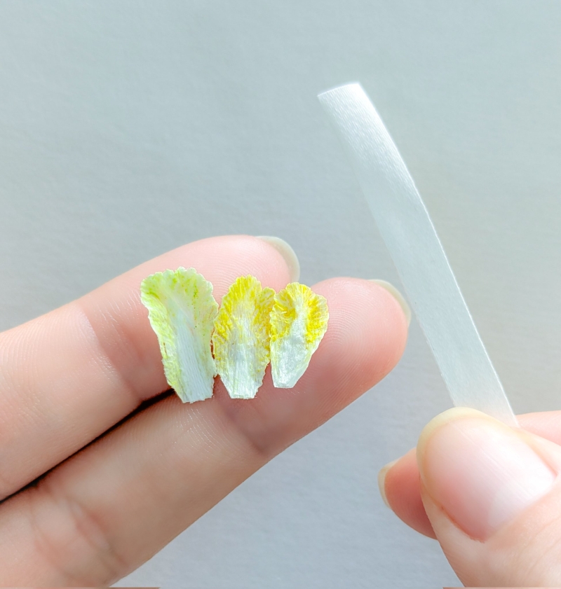 板状に固めた刺しゅう糸を柔らかくして白菜に