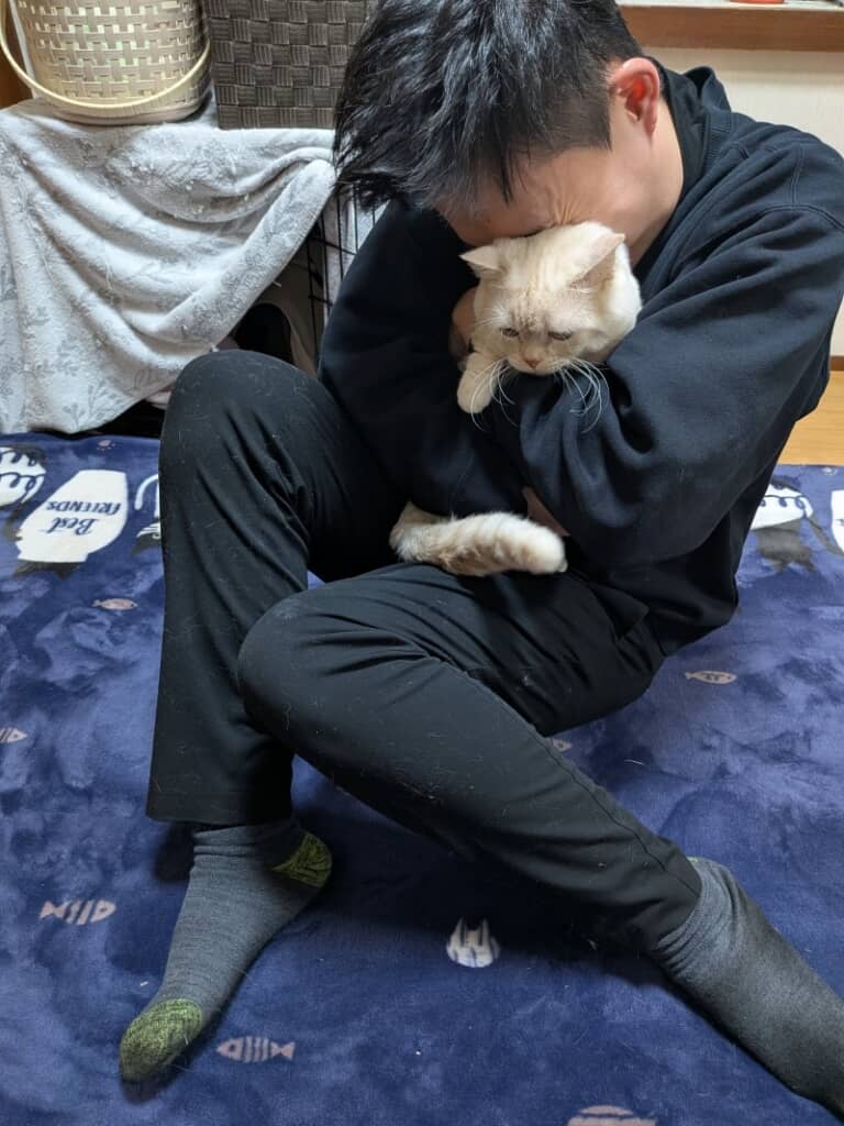 ちょっとだけ困り顔の猫ちゃん