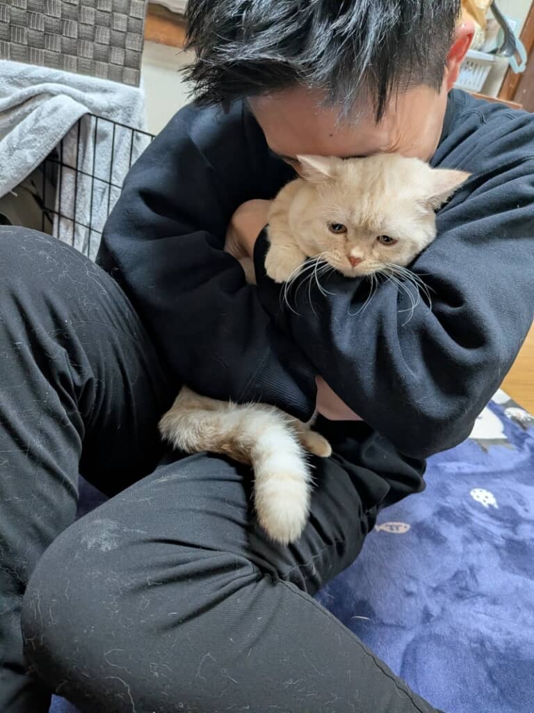 黒い服には猫ちゃんの白い毛がいっぱい