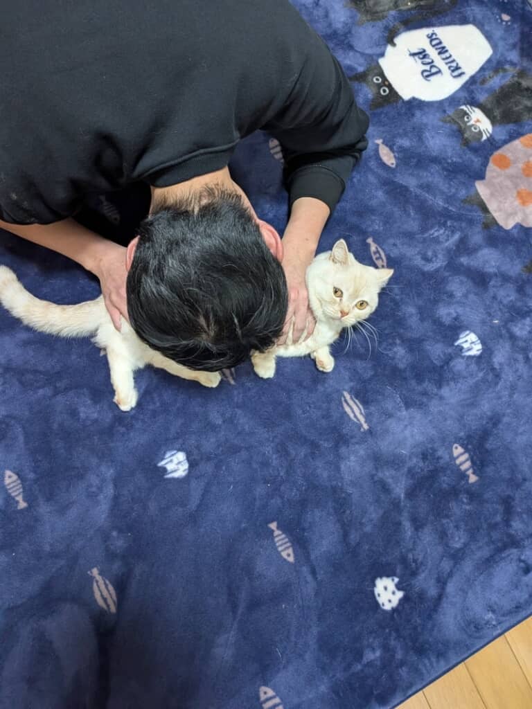 違う角度で猫吸いしている夫