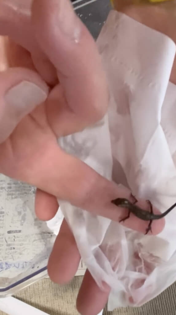 ぬるま湯で温めながら汚れを落とすと……