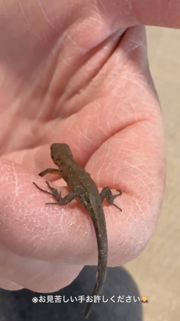 少しずつ元気を取り戻します