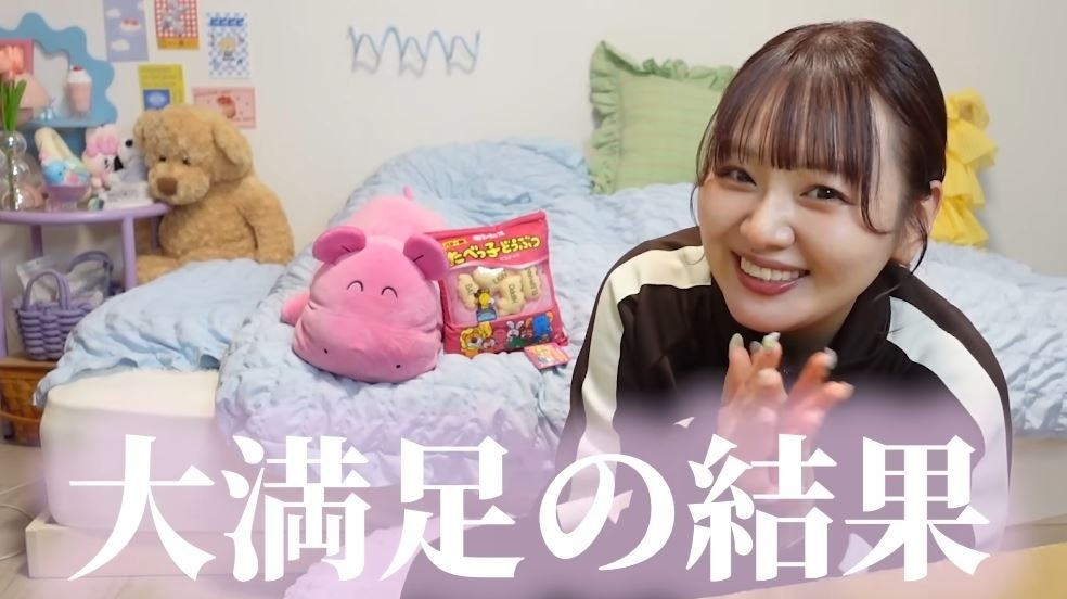 「たべっ子どうぶつ」のクッション