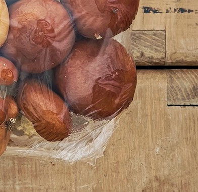 パックの中の大きなしめじ