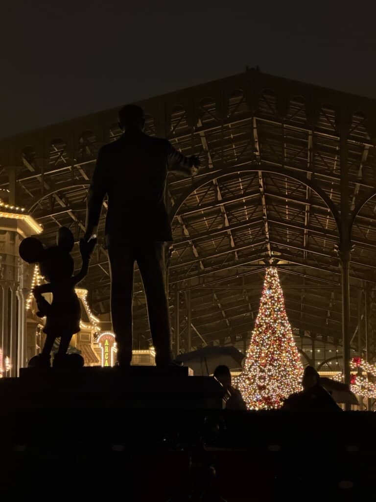 ブレずに撮れた写真