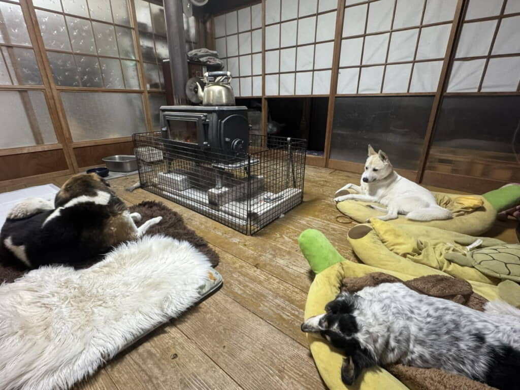 ここに混ざれたらどんなに幸せか……