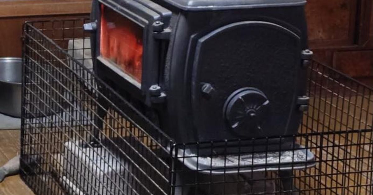 LINEで帰宅報告、家族からの返信に……「寄り道できないｗ」→ストーブ前の納得な光景に「速攻直帰案件」「ベストポジション」（1/3） | 犬 ねとらぼ