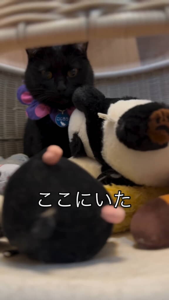 すっかりなじんでいらっしゃる……