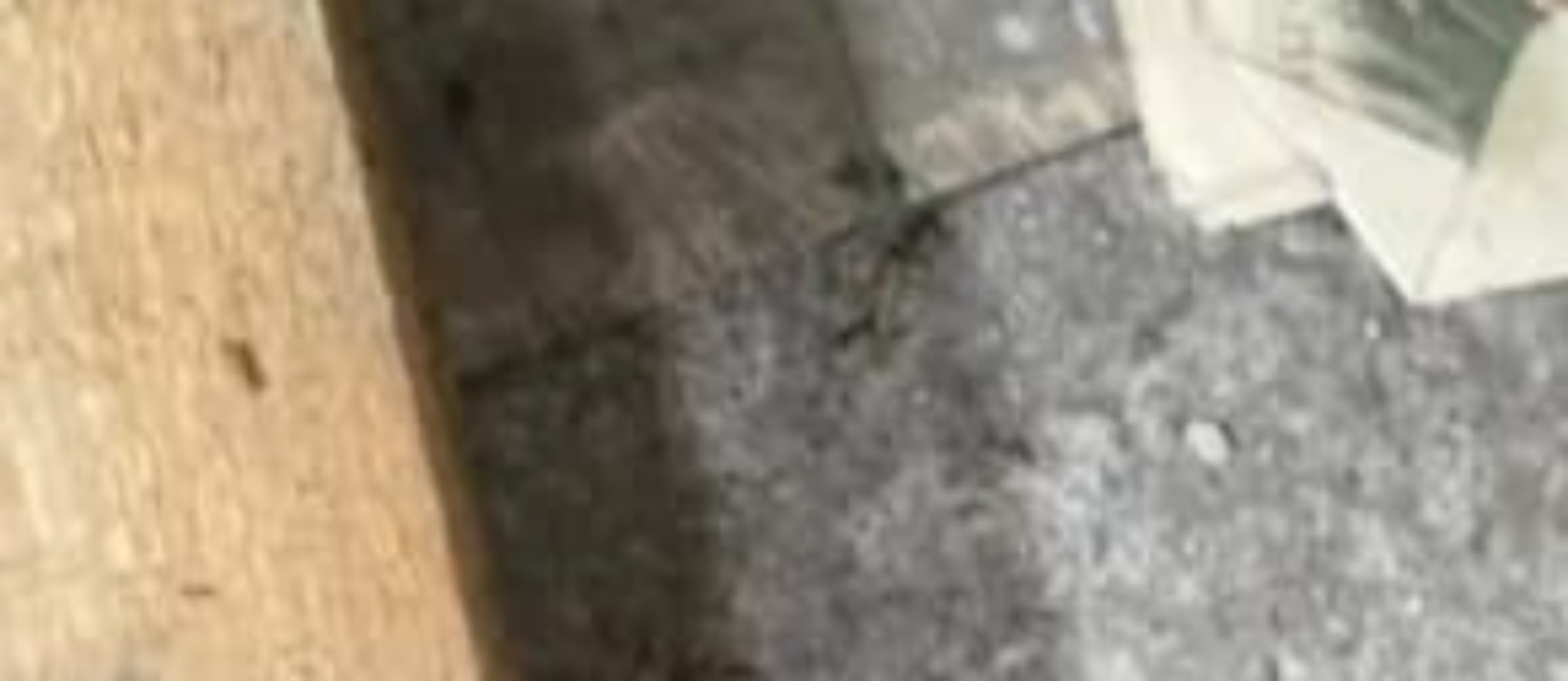 元ラーメン店を民泊にリフォーム→フローリングを剥がすと……　まさかの“埋蔵金”に「うおーーーーー!!」「嬉しいボーナス」「お年玉のお札がこれ」（1/3） | ライフスタイル ねとらぼ