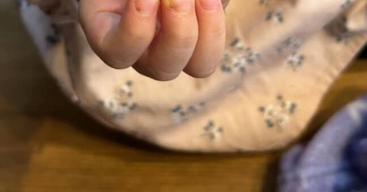 3歳娘がかっぱえびせんを食べていたら……「これなぁに？」　紛れていた“まさかのもの”にパパママ仰天「初めて見ました」「こんなのあるんだ」（1/3） | グルメ ねとらぼ