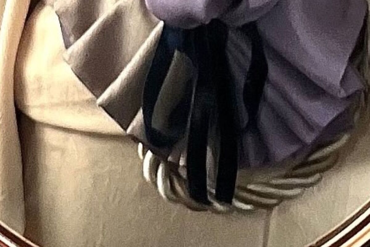 【着物】思い付きでサクッと帯を結んだら……　偶然できた“まさかの形”に「すげぇ！」「初詣で会いたい人No.1」（1/3） | ライフスタイル ねとらぼ