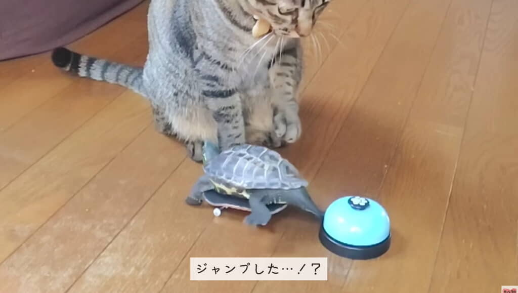テンション上がってジャンプ