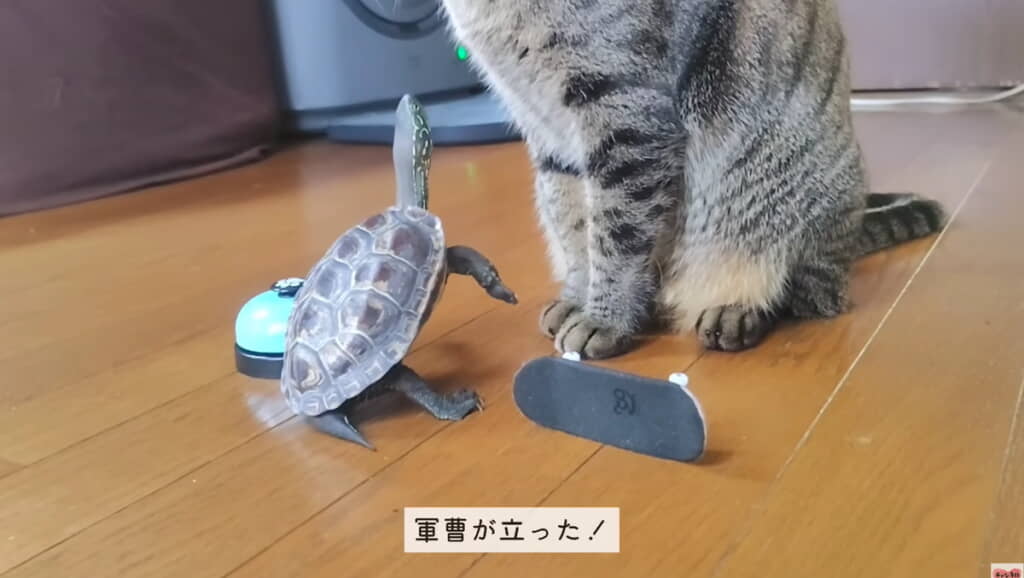 軍曹さんが立った……！