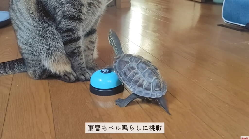 かすかに音が鳴りました