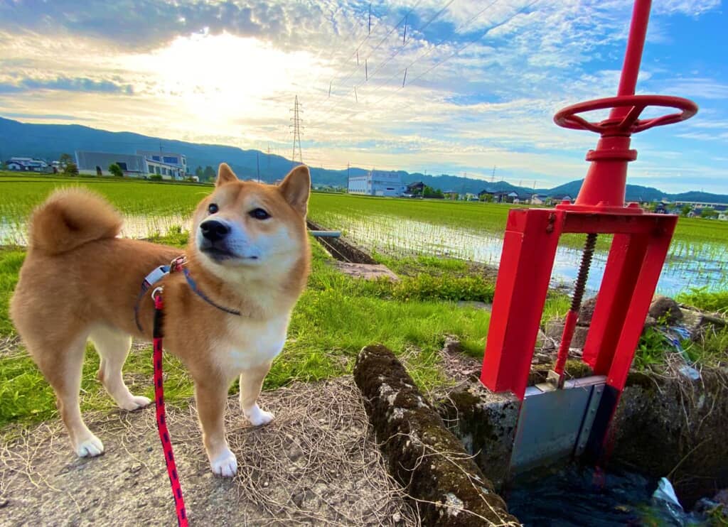 コウちゃんのすてきショット◎