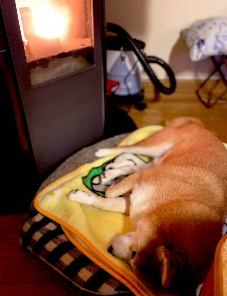 特等席でぬくぬく