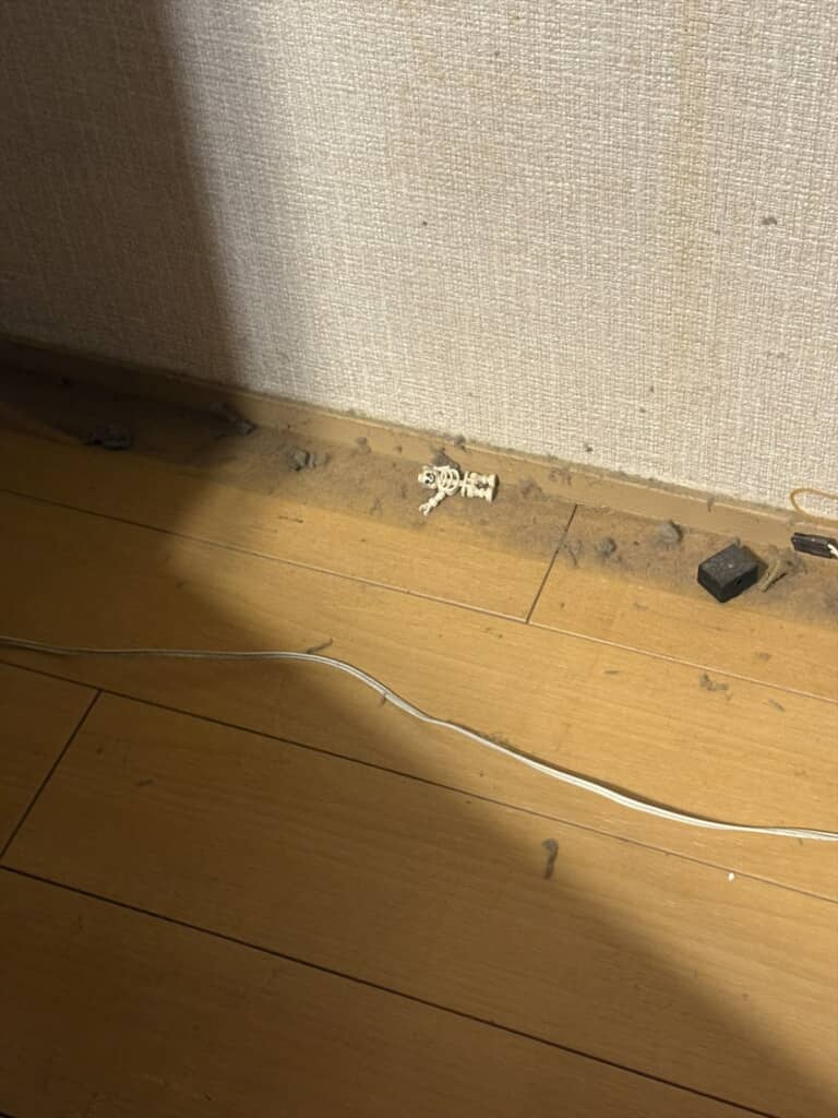 テレビ台の裏で見つかった白骨死体
