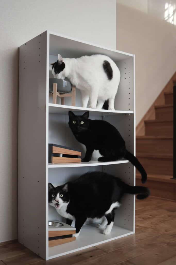 うまい！　おかわり！