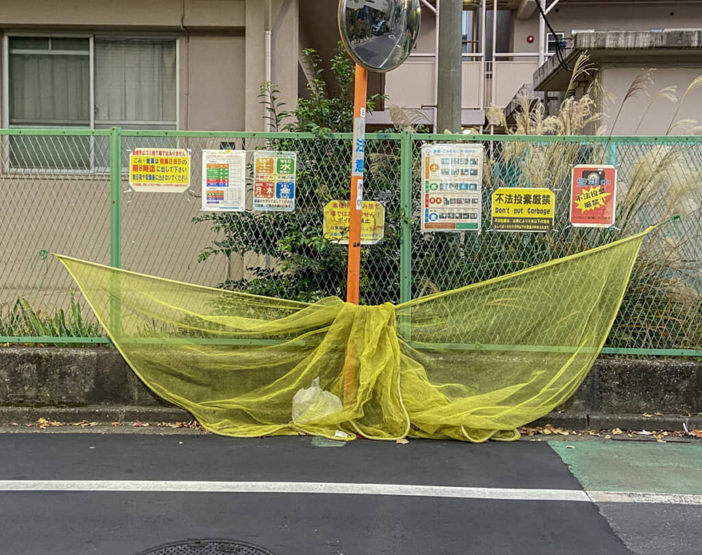 これはどう見てもジュディ・オング。うぃんでぃずなんじゃーかんじゃーえーんじゃ～