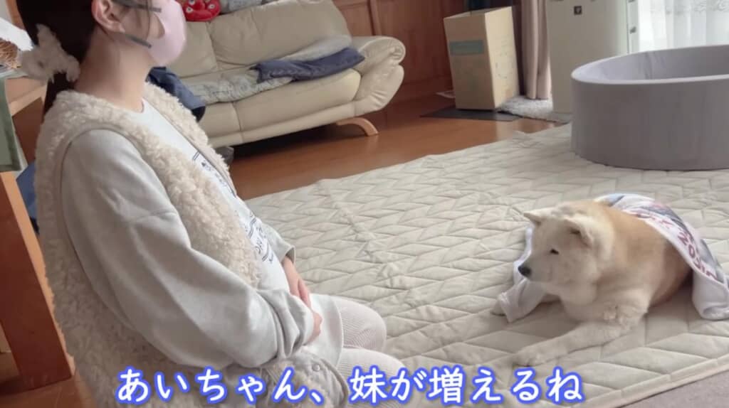 お嫁さんを優しく見守るあいちゃん