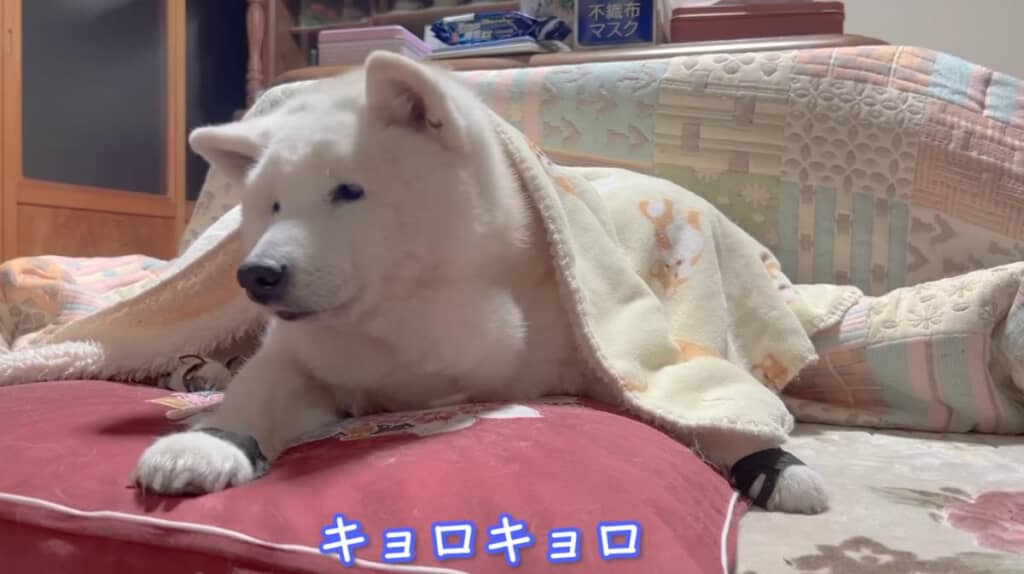 お母さんをなかなか見つけられません