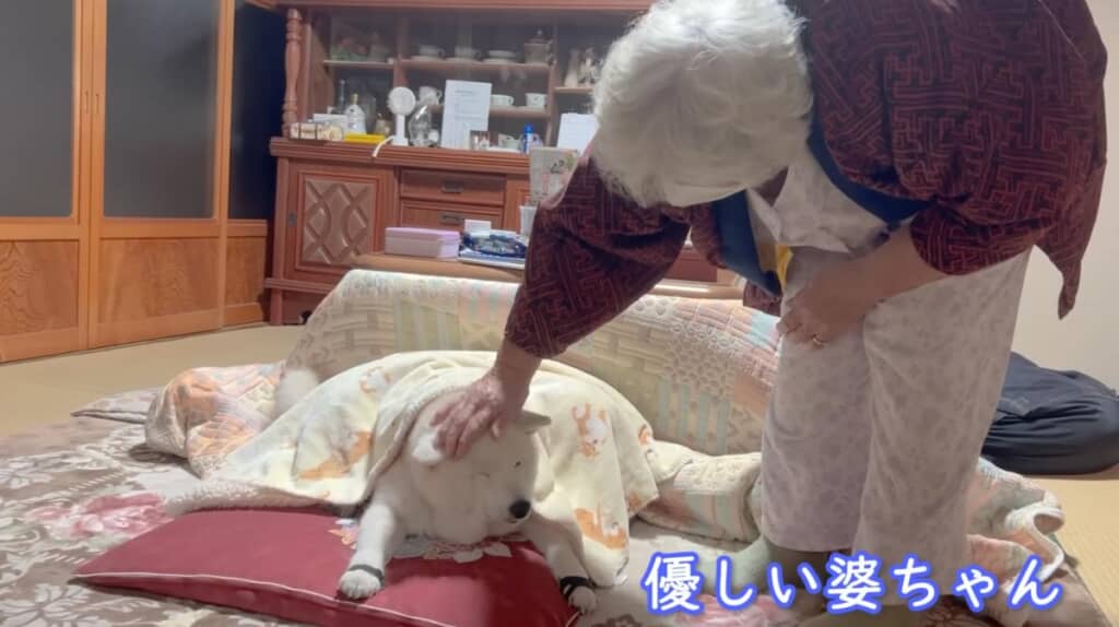 おばあちゃんが寄り添ってくれました