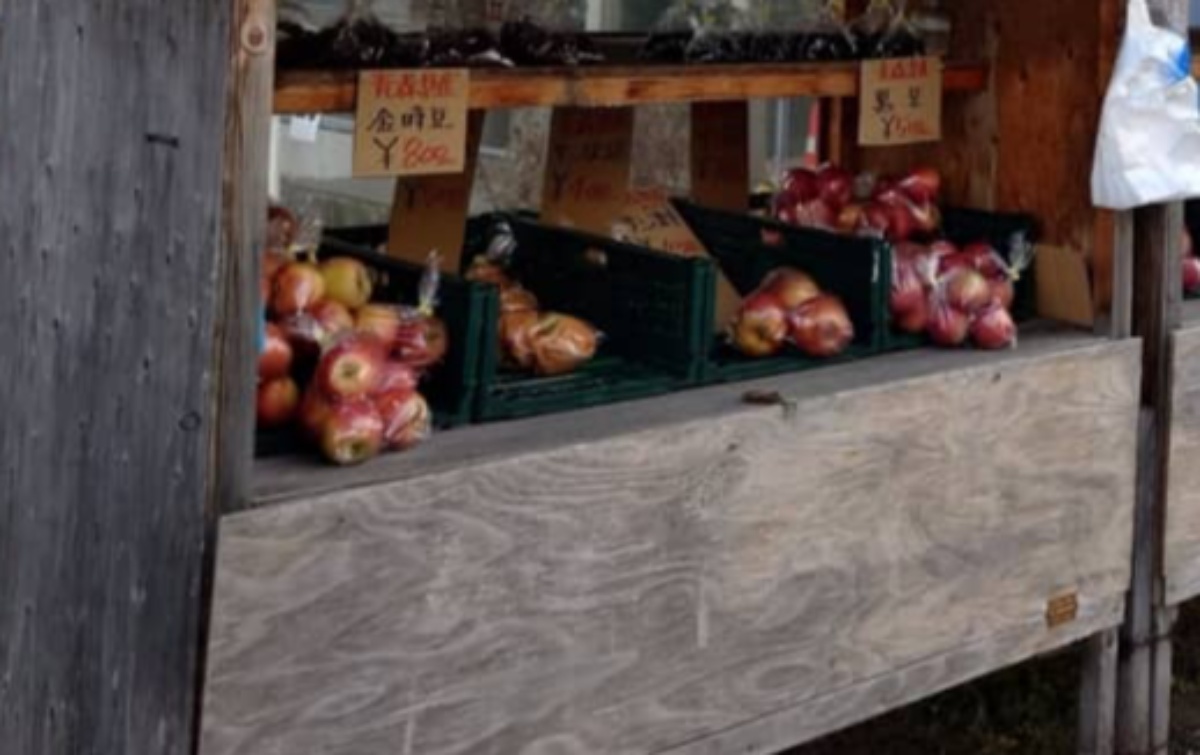 青森県の無人販売所、引きで見ると……「最強」→まさかの光景に「盗れるものならとってみろ」「お金払っててもドキドキ」（1/3） | ライフスタイル ねとらぼ