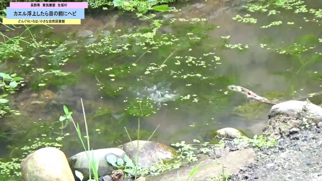 ……逃げられた！